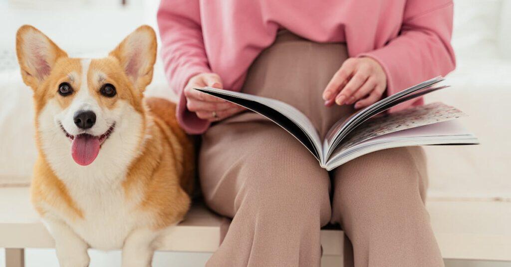 découvrez le monde des animaux les plus adorables! des petits chiots aux chatons espiègles, explorez notre sélection des animaux les plus mignons qui captivent le cœur de tous. laissez-vous attendrir par ces créatures irrésistibles!