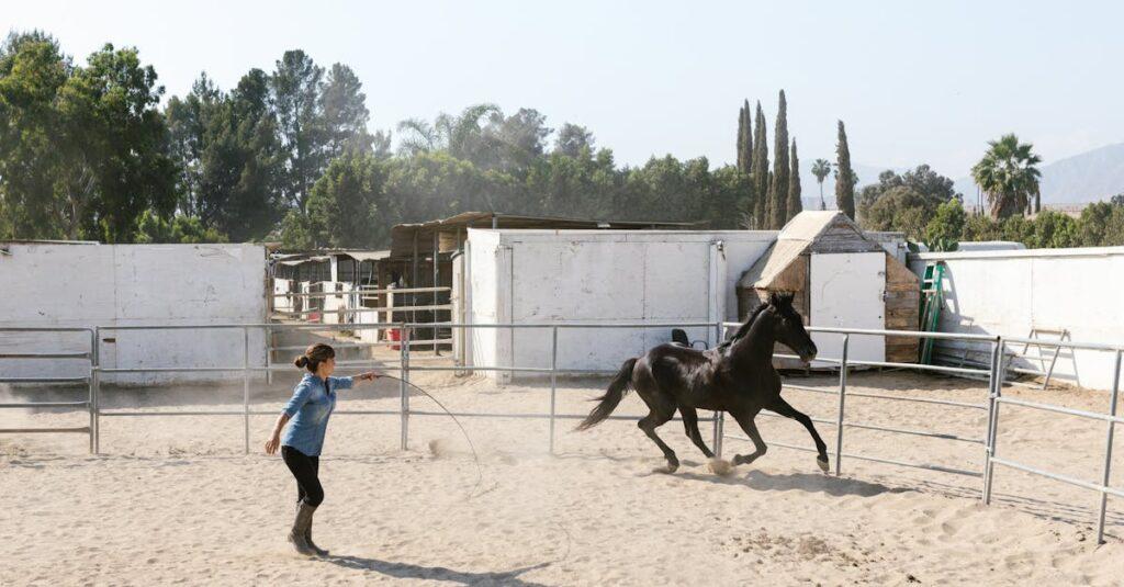 découvrez le monde fascinant des poulains, ces jeunes chevaux pleins de vie et d'énergie. apprenez-en davantage sur leur croissance, leur comportement et les soins à leur apporter pour les aider à devenir des chevaux adultes en pleine santé.