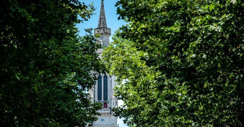 découvrez nantes, une ville dynamique et riche en culture, où l'histoire se mêle à l'innovation. explorez ses paysages enchanteurs, ses musées fascinants et sa gastronomie savoureuse, tout en profitant d'une ambiance chaleureuse et accueillante.