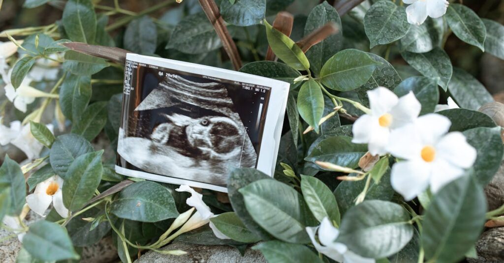 découvrez la signification des fleurs de naissance, symboles uniques associés à chaque mois de l'année. explorez leurs propriétés, leur histoire et comment elles peuvent embellir vos occasions spéciales.