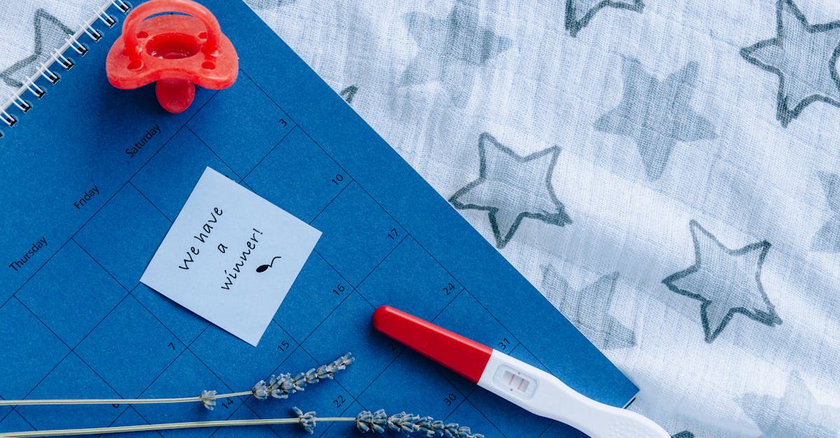 découvrez le symbolisme et les significations des fleurs de naissance, ainsi que leur impact sur les personnalités des mois. apprenez à choisir la fleur parfaite pour un cadeau ou pour célébrer un anniversaire!