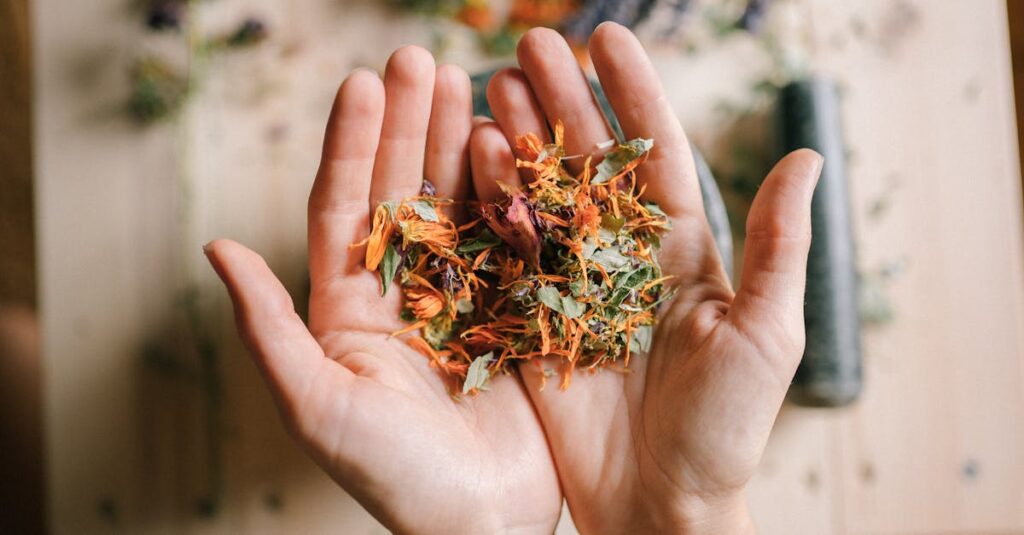 découvrez des remèdes naturels efficaces pour améliorer votre bien-être au quotidien. apprenez à utiliser les plantes, les huiles essentielles et d'autres solutions naturelles pour soulager divers maux et renforcer votre santé de manière douce et respectueuse.