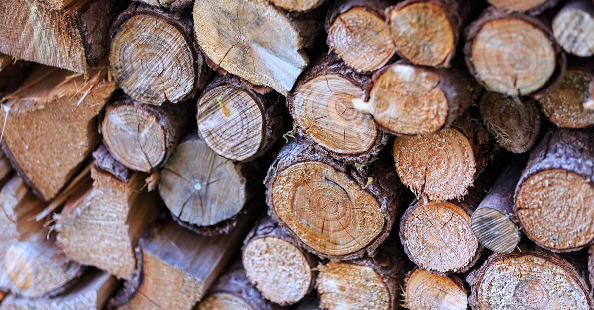 découvrez les avantages de la construction en bois durable, une solution éco-responsable qui allie esthétique, performance énergétique et respect de l'environnement. optez pour des matériaux renouvelables et contribuez à un avenir plus vert tout en construisant des espaces chaleureux et confortables.