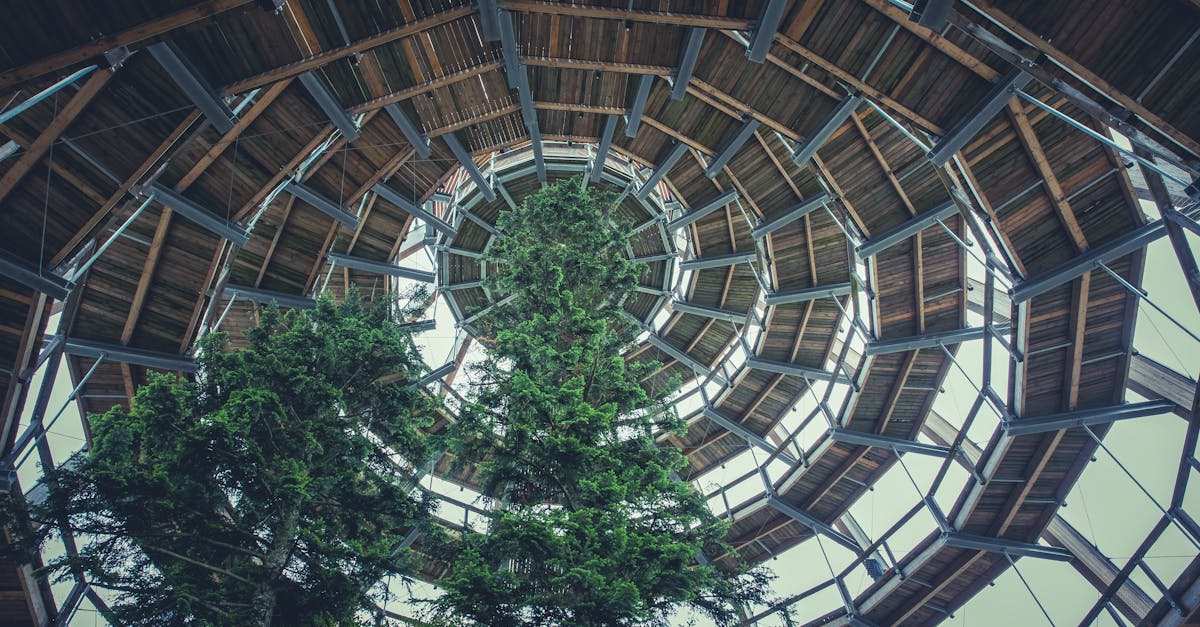 découvrez les avantages de la construction en bois durable : une méthode écologique, économique et esthétique pour bâtir un avenir respectueux de l'environnement.