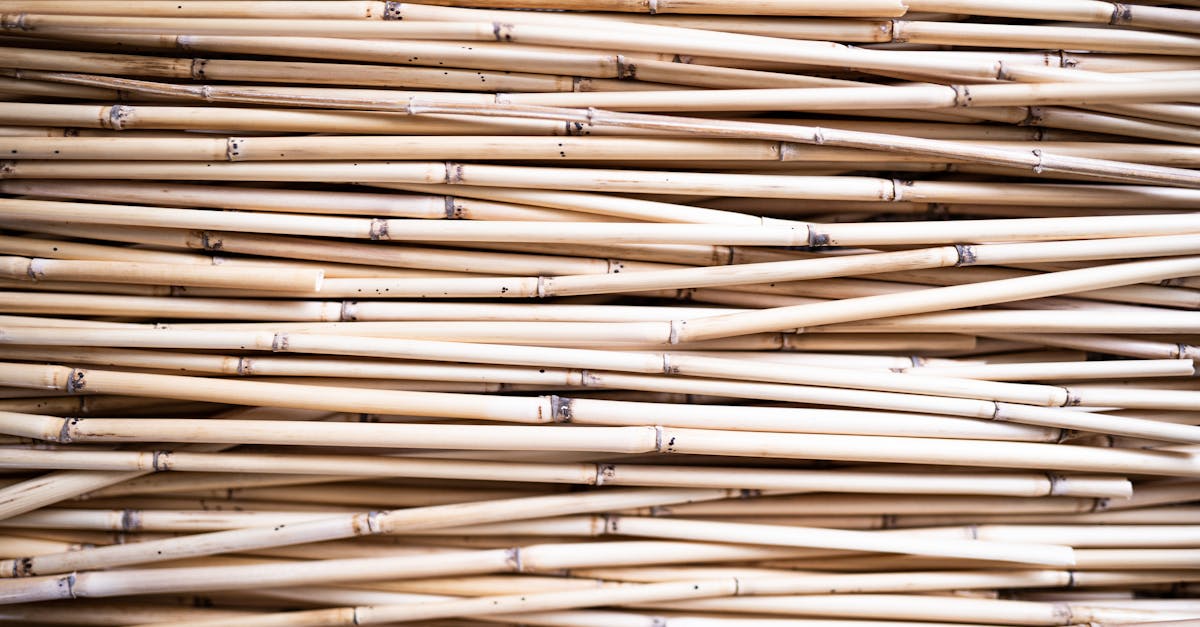 découvrez les avantages de la construction en bois durable, une approche respectueuse de l'environnement qui allie esthétisme, efficacité énergétique et durabilité pour des projets architecturaux modernes et écologiques.
