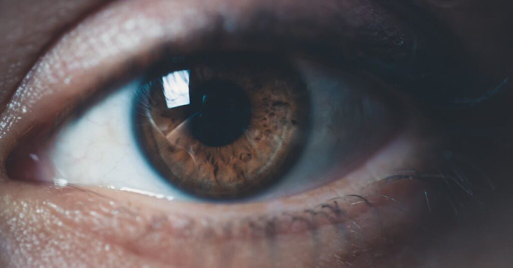 découvrez la beauté envoûtante des yeux noisette. apprenez comment mettre en valeur cette couleur unique, à travers des conseils de maquillage, des palettes de couleurs idéales et des astuces pour sublimer votre regard. laissez-vous séduire par la magie des yeux brillants et fascinants.