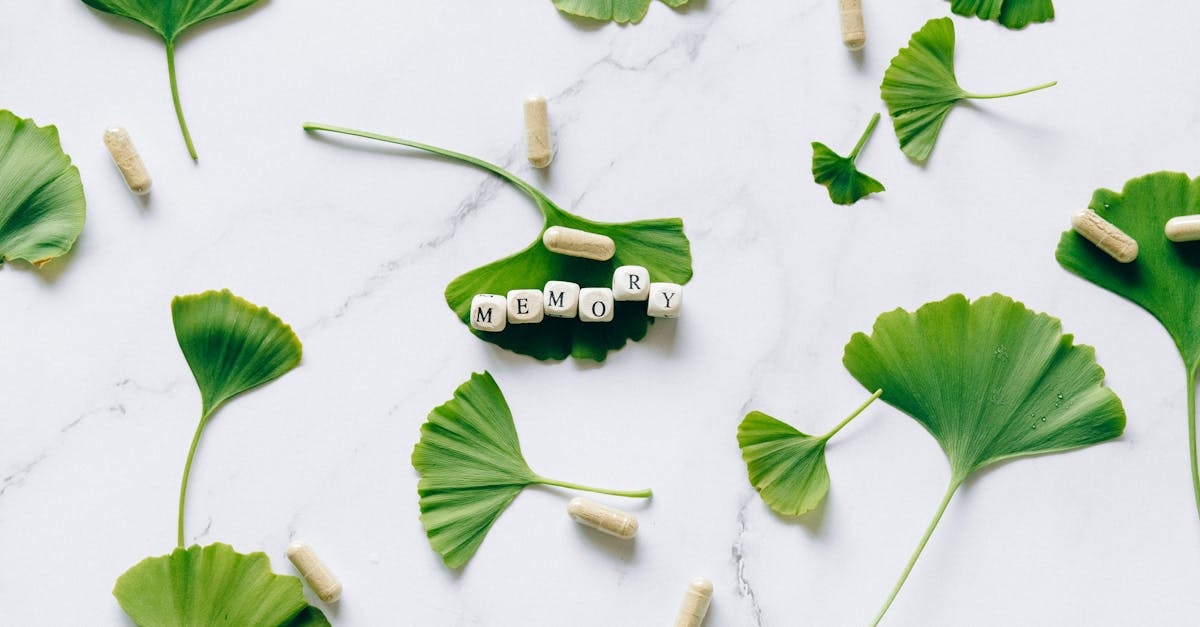 découvrez des remèdes naturels efficaces pour améliorer votre bien-être au quotidien. explorez des solutions holistiques à base de plantes, d'huiles essentielles et de nutriments pour apaiser les maux courants et renforcer votre santé de manière naturelle.