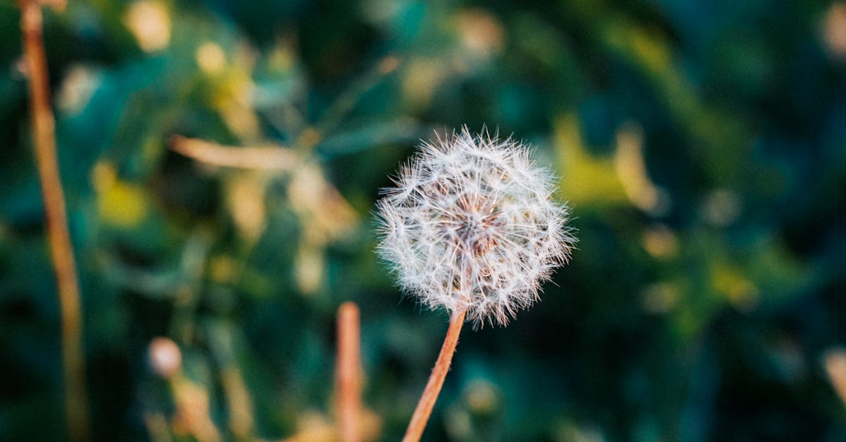 découvrez tout ce qu'il faut savoir sur les poussées de croissance : signes, durée et conseils pour accompagner votre enfant durant ces étapes clés de son développement.