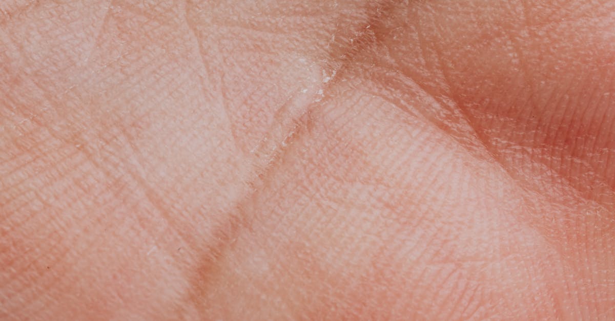 découvrez l'art de la chiromancie : apprenez à lire les lignes de la main, à interpréter les signes et à dévoiler les secrets de votre avenir grâce à la palmistry.