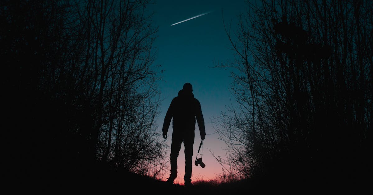 découvrez l'univers captivant de la star academy : suivez les parcours des talents, les coulisses du château, les performances inédites et toutes les actualités sur votre émission musicale préférée.