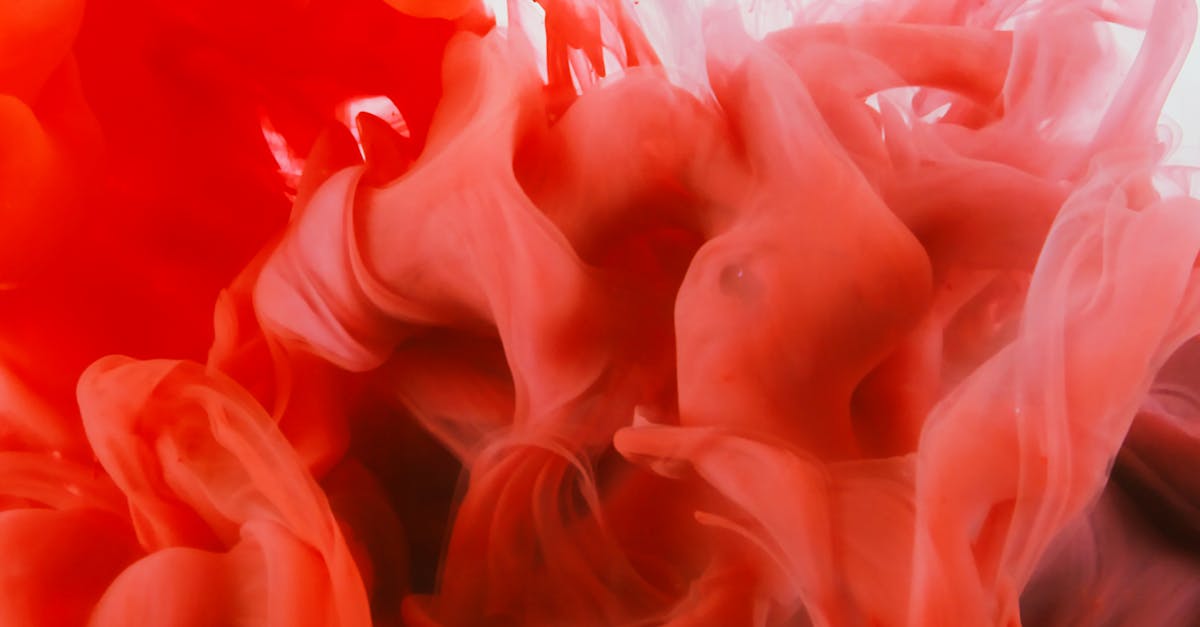 découvrez tout ce qu'il faut savoir sur le bleeding : causes, symptômes, traitements et conseils pour réagir efficacement en cas de saignement. informations fiables et pratiques.
