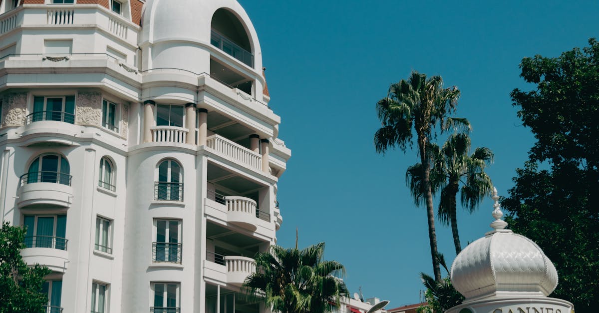 découvrez tout sur le festival de cannes : actualités, films en compétition, palmarès, stars sur le tapis rouge et coulisses de l'événement cinématographique incontournable.