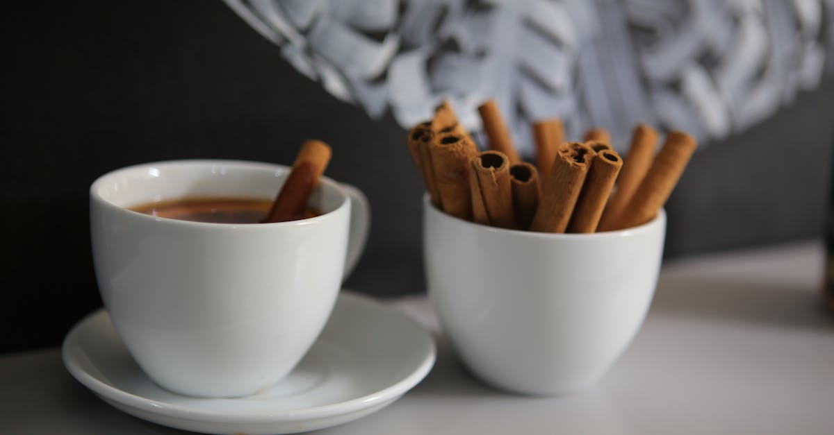 découvrez tout sur la cannelle : son origine, ses bienfaits pour la santé, ses utilisations en cuisine et ses propriétés aromatiques. un guide complet pour mieux connaître cette épice incontournable.