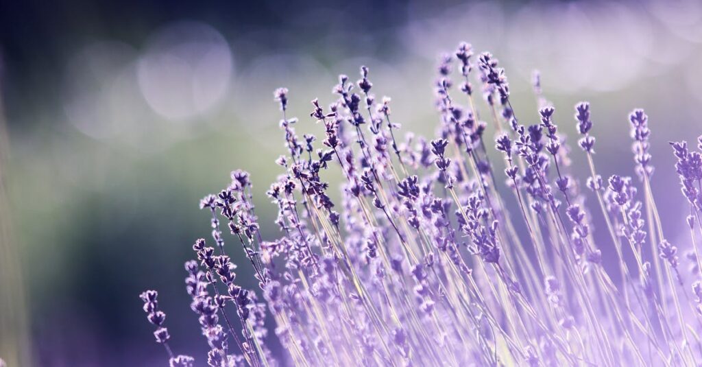 découvrez les meilleurs dupes de parfums pour retrouver vos fragrances préférées à petit prix. guide, conseils et sélections pour choisir le dupe parfait.