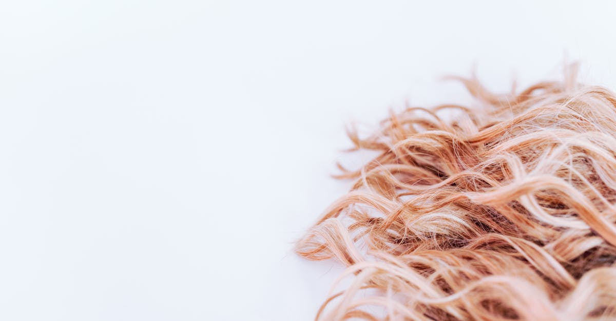 découvrez les dernières tendances en matière de coiffures pour tous types de cheveux. inspirez-vous de nos idées de hairstyles pour adopter un nouveau look élégant et moderne.