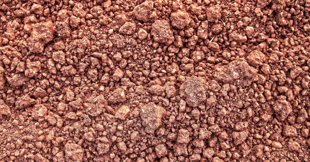 découvrez tout ce qu'il faut savoir sur les lumps : définitions, causes, symptômes et conseils pour identifier et traiter les grosseurs sous la peau. informations fiables et accessibles pour mieux comprendre votre santé.