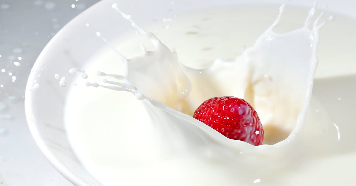 découvrez tout sur le lait : ses bienfaits nutritionnels, ses différents types, et son rôle essentiel dans une alimentation équilibrée. informations, conseils et usages du lait.