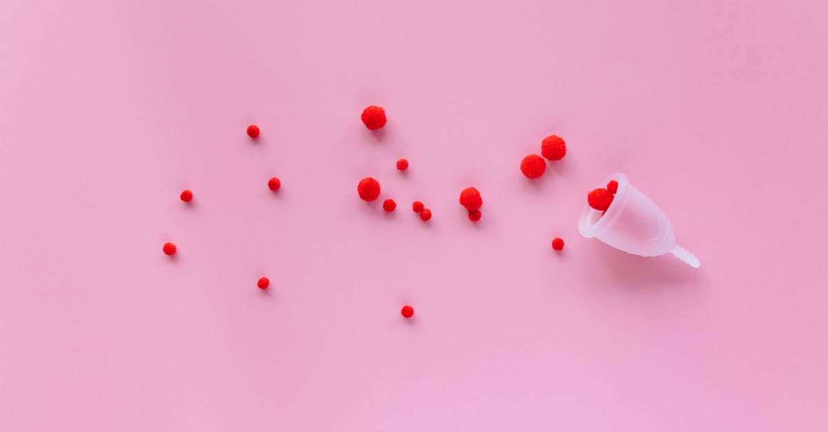 découvrez tout ce qu'il faut savoir sur l'ovulation : définition, symptômes, période fertile, conseils pour favoriser une grossesse et comprendre votre cycle menstruel.