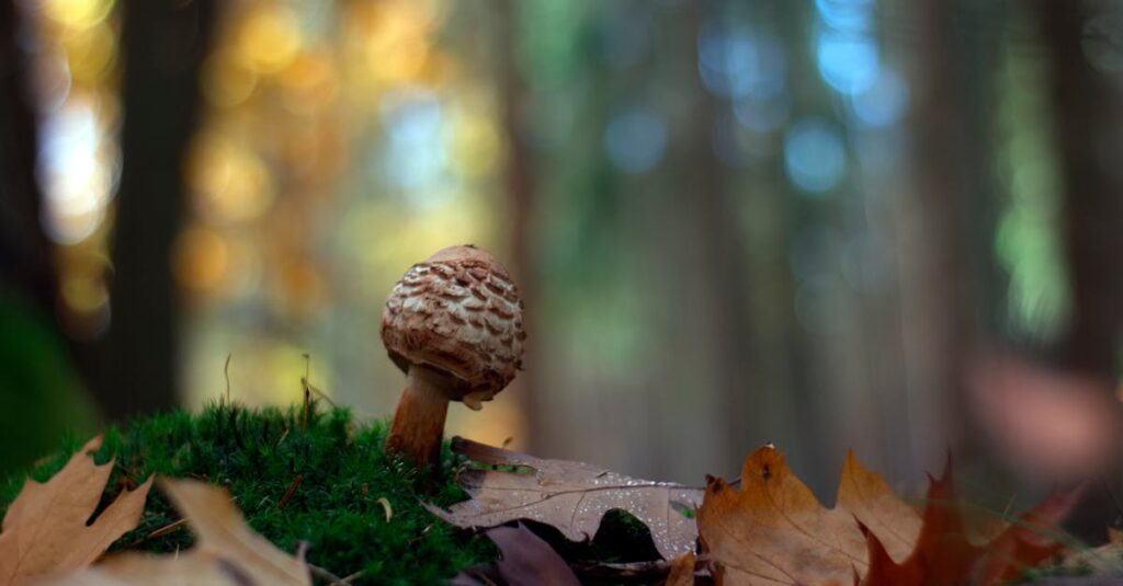 Pertes marrons pendant la grossesse : comprendre les causes et savoir si c’est inquiétant découvrez les causes possibles des pertes brunâtres (brown discharge), quand s'inquiéter et comment réagir. nos conseils pour comprendre ce symptôme gynécologique souvent bénin.