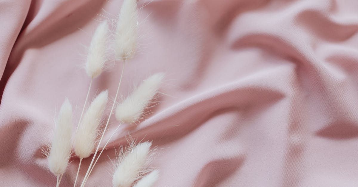 découvrez la tendance lumi blush balayage : une technique de coloration qui illumine votre chevelure et apporte un effet bonne mine naturel à votre visage. conseils, astuces et inspirations pour adopter ce look lumineux et sophistiqué.