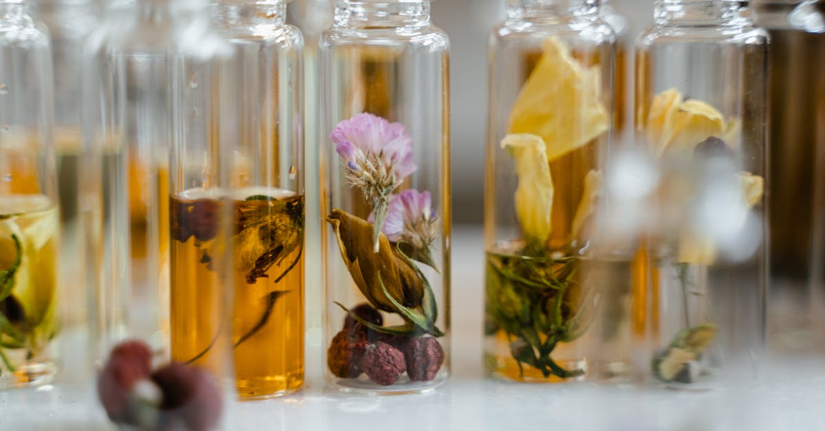 découvrez les meilleurs dupes de parfums : des alternatives abordables et de qualité pour vos fragrances préférées. trouvez le parfum similaire à votre senteur de luxe favorite sans vous ruiner !