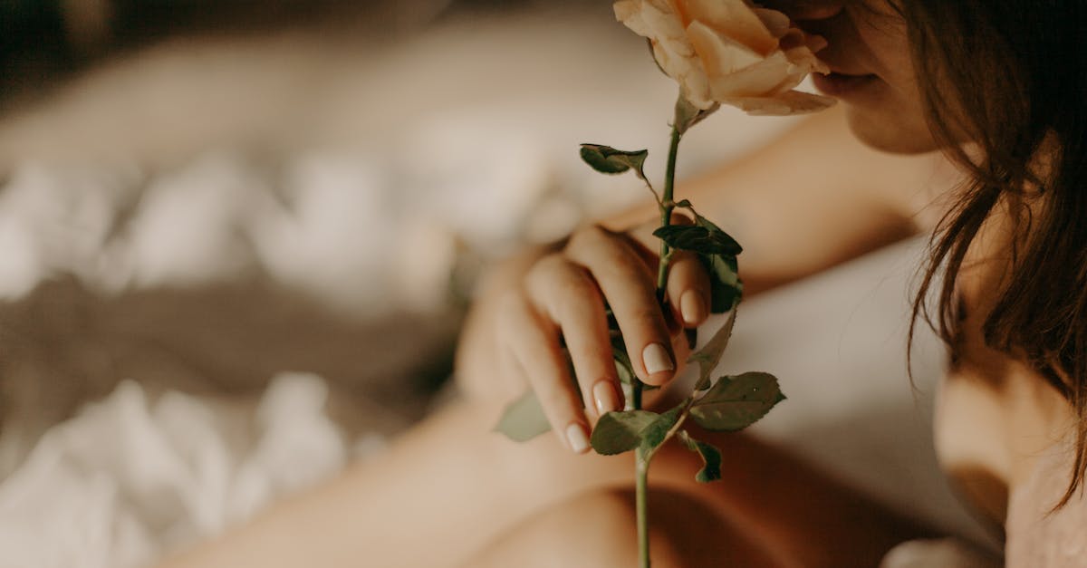 découvrez les meilleurs dupes de parfums : alternatives abordables aux fragrances de luxe, avec des senteurs similaires et une grande tenue. trouvez votre parfum idéal sans vous ruiner !