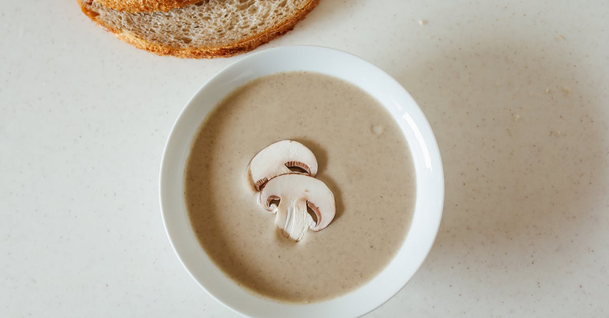 découvrez nos recettes rapides pour le déjeuner : des idées simples, savoureuses et prêtes en quelques minutes pour un repas express sans sacrifier le goût.