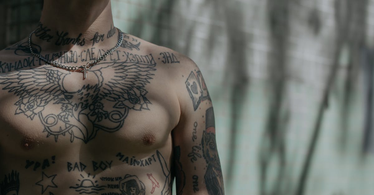 découvrez l'univers fascinant du tattoo : inspirations, significations, conseils pour vos premiers tatouages et idées de motifs tendance. tout savoir avant de vous lancer !