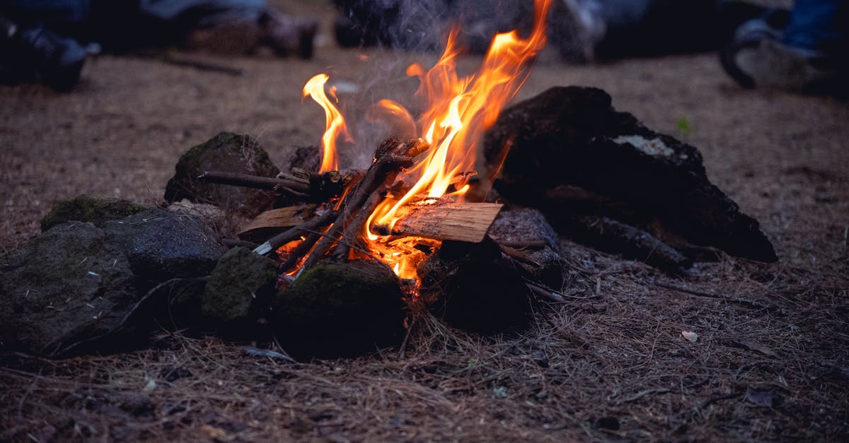 découvrez la signification des flammes jumelles, leur connexion spirituelle unique et les signes pour reconnaître votre âme miroir. explorez le cheminement, les défis et les étapes de la relation twin flame.