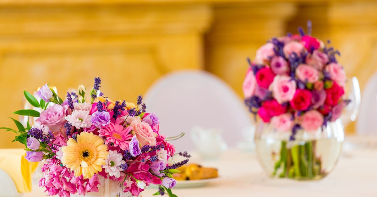 célébrez votre anniversaire avec des idées uniques et des conseils pour rendre cette journée inoubliable.