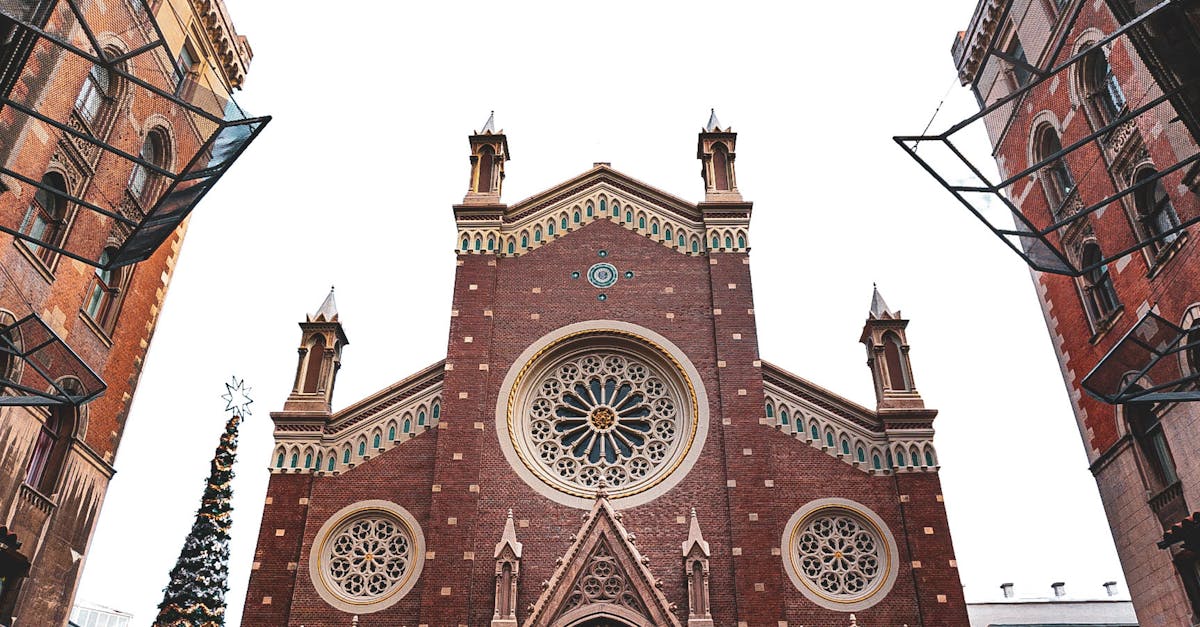 découvrez la carrière et la vie d'anthony delon, acteur français emblématique, fils de l'illustre alain delon, entre cinéma et passions personnelles.