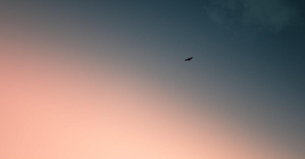 Bras chauve-souris après 50 ans : les exercices efficaces pour des bras tonifiés découvrez des exercices efficaces pour tonifier et raffermir vos bras, en ciblant spécifiquement les zones avec des 'ailes de chauve-souris' pour un bras plus ferme et sculpté.