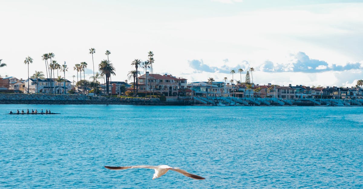 découvrez les meilleurs exercices pour tonifier les bras et éliminer les ailes de chauve-souris. renforcez vos muscles et retrouvez une silhouette sculptée grâce à nos conseils d'entraînement efficaces.