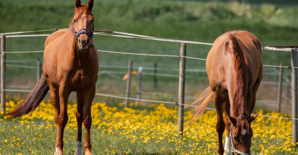 Fête des pères 2025 : histoire, date et idées cadeaux originales célébrez la fête des pères 2025 avec des idées de cadeaux uniques, des activités spéciales et des messages touchants pour honorer tous les papas.