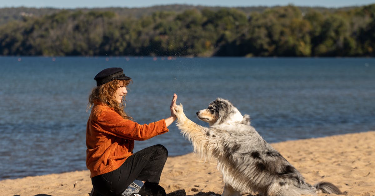 découvrez les humoristes féminines incontournables de 2025, leurs styles uniques et leurs spectacles à ne pas manquer cette année.