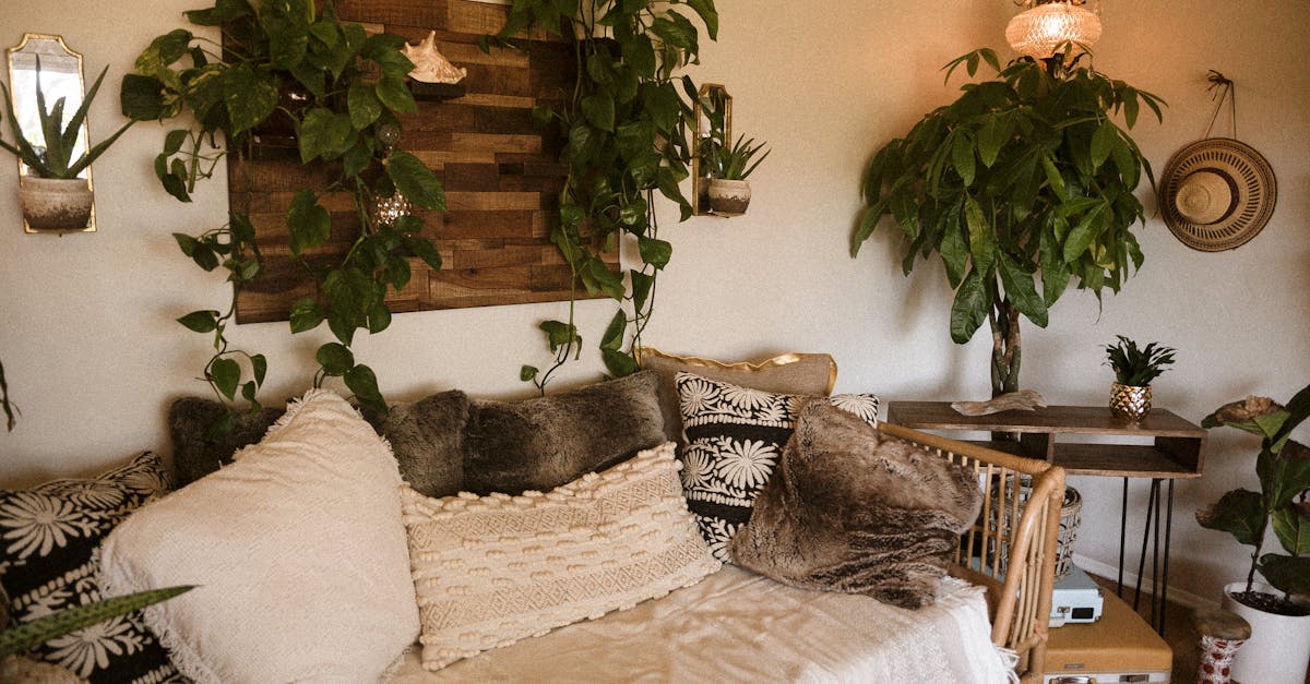 découvrez notre sélection de plantes d'intérieur pour embellir votre maison et purifier votre air avec style et naturel.