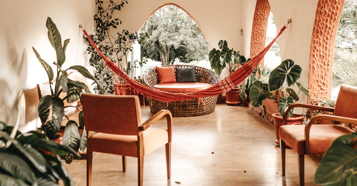 découvrez notre sélection de plantes d'intérieur pour embellir votre espace de vie avec une touche de verdure, idéale pour purifier l'air et apporter de la fraîcheur à votre maison.