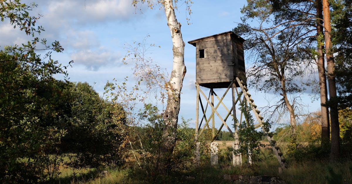 découvrez les positions du kamasutra pour enrichir votre vie intime et explorer de nouvelles sensations avec votre partenaire.