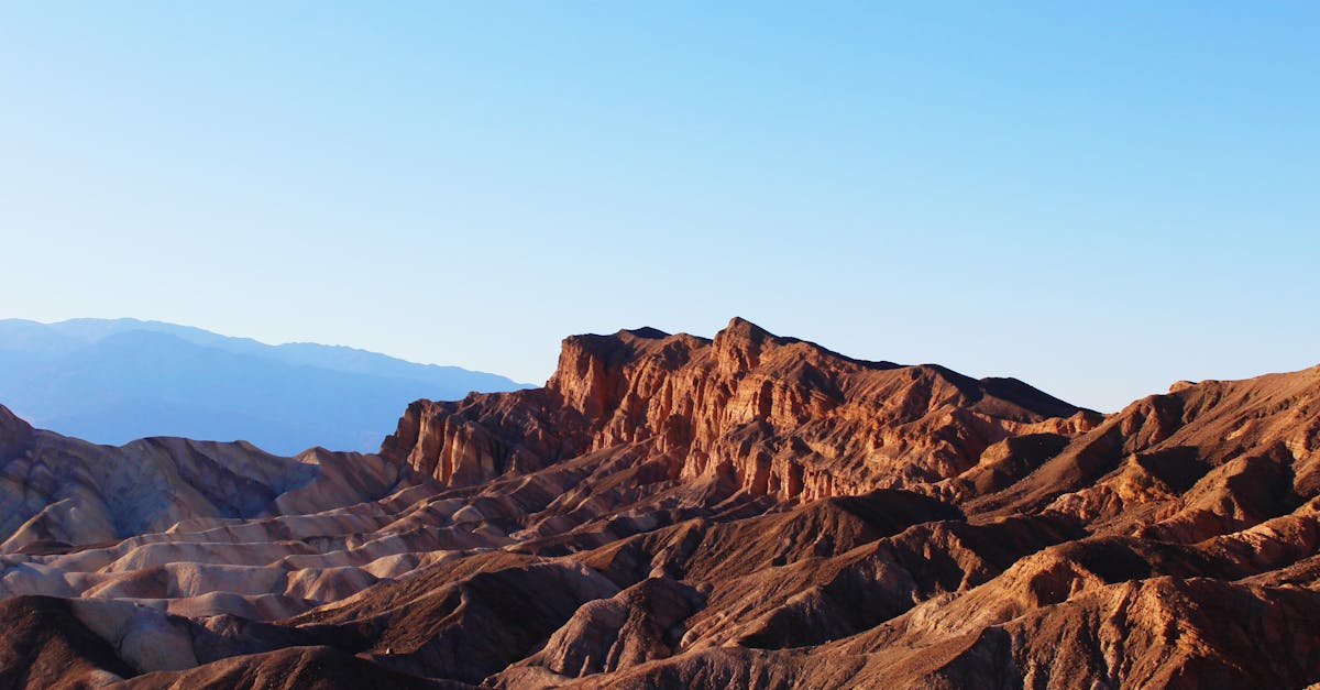 découvrez des informations sur le thème de la mort, son impact culturel, philosophique et scientifique, ainsi que des réflexions sur la vie et la finitude.