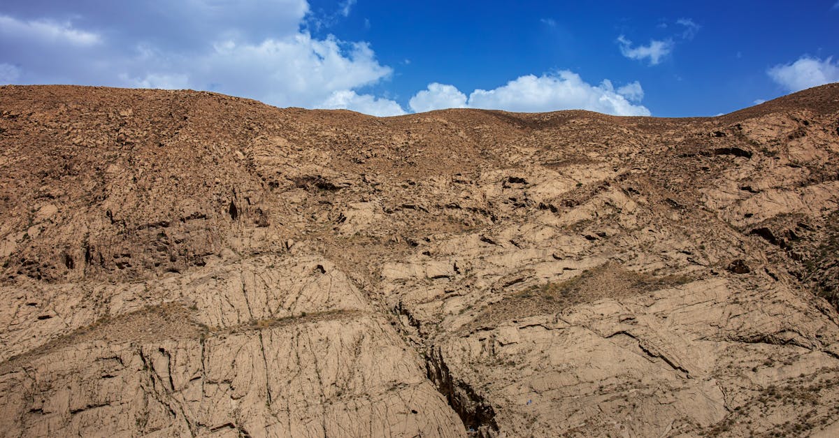 découvrez le dyson v12 origin, un aspirateur sans fil puissant et léger, conçu pour un nettoyage efficace et rapide de votre maison.