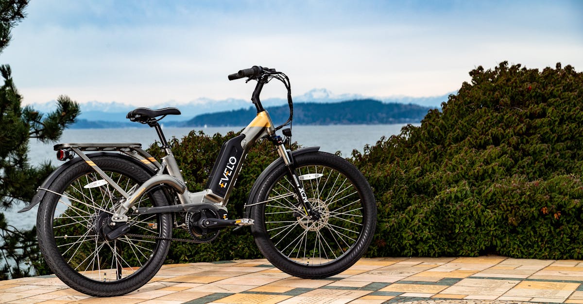 découvrez notre sélection de vélos électriques performants et écologiques, parfaits pour vos déplacements urbains et loisirs. profitez d'une mobilité douce et pratique avec nos e-bikes innovants.