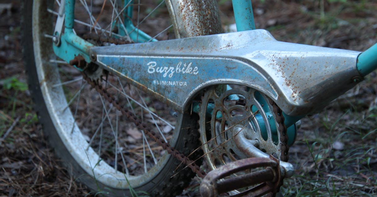 découvrez des méthodes efficaces et des conseils pratiques pour l'élimination dans divers domaines, assurant des résultats optimaux et durables.