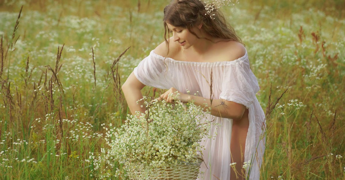 découvrez ghost blonde, une marque de soins capillaires innovante qui sublime la beauté naturelle de vos cheveux blonds avec des produits doux et efficaces.