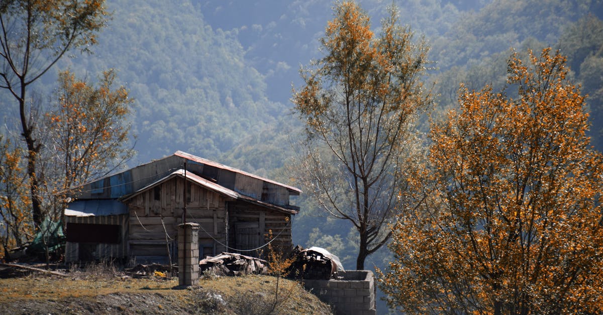 découvrez le gagnant de koh lanta 2025, l'aventurier qui a triomphé dans cette édition pleine de défis et de suspense.