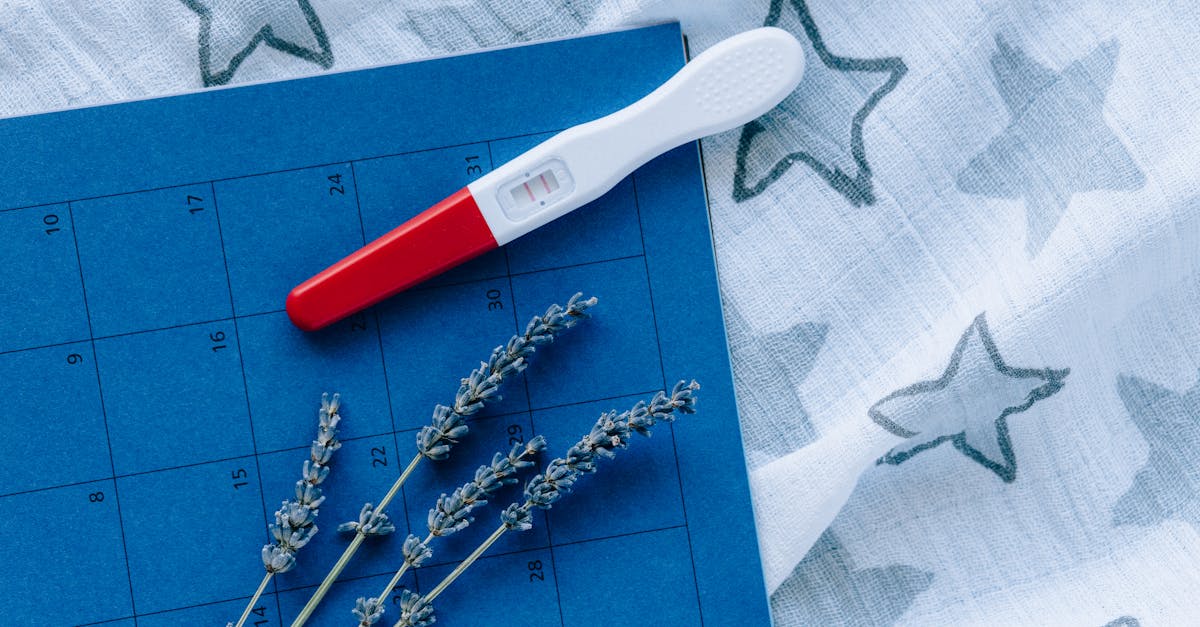 suivez semaine par semaine votre grossesse avec notre calendrier de grossesse détaillé, des conseils utiles et des informations essentielles pour chaque étape.