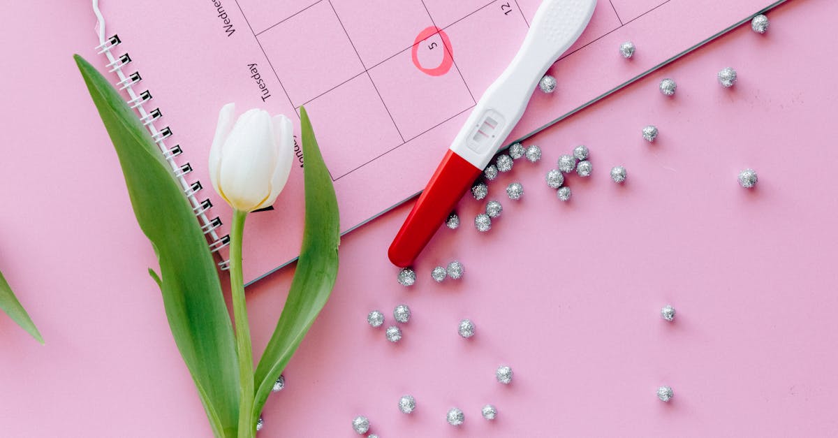 découvrez notre calendrier de grossesse interactif pour suivre chaque étape de votre bébé, de la conception à la naissance, avec des conseils et informations personnalisés.