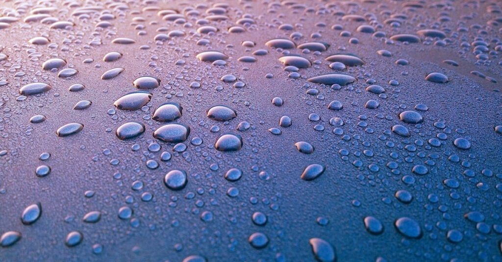 découvrez le profil de ramatoulaye diop, ses compétences, son parcours professionnel et ses réalisations destacables.