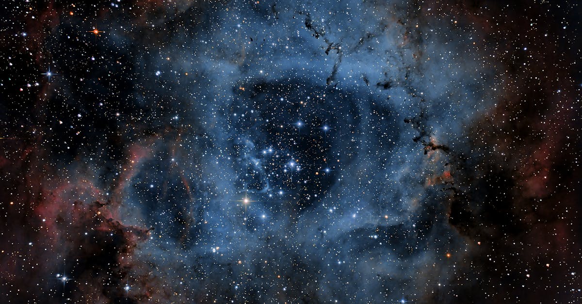 découvrez la liste complète des nominees de star academy, les talents en compétition prêts à conquérir la scène musicale.