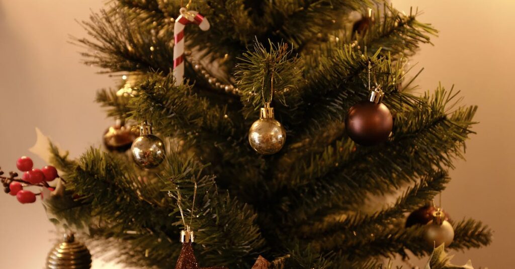 découvrez les nominés de la star academy, les talents prometteurs prêts à briller sur scène. suivez leur parcours et soutenez vos candidats favoris !