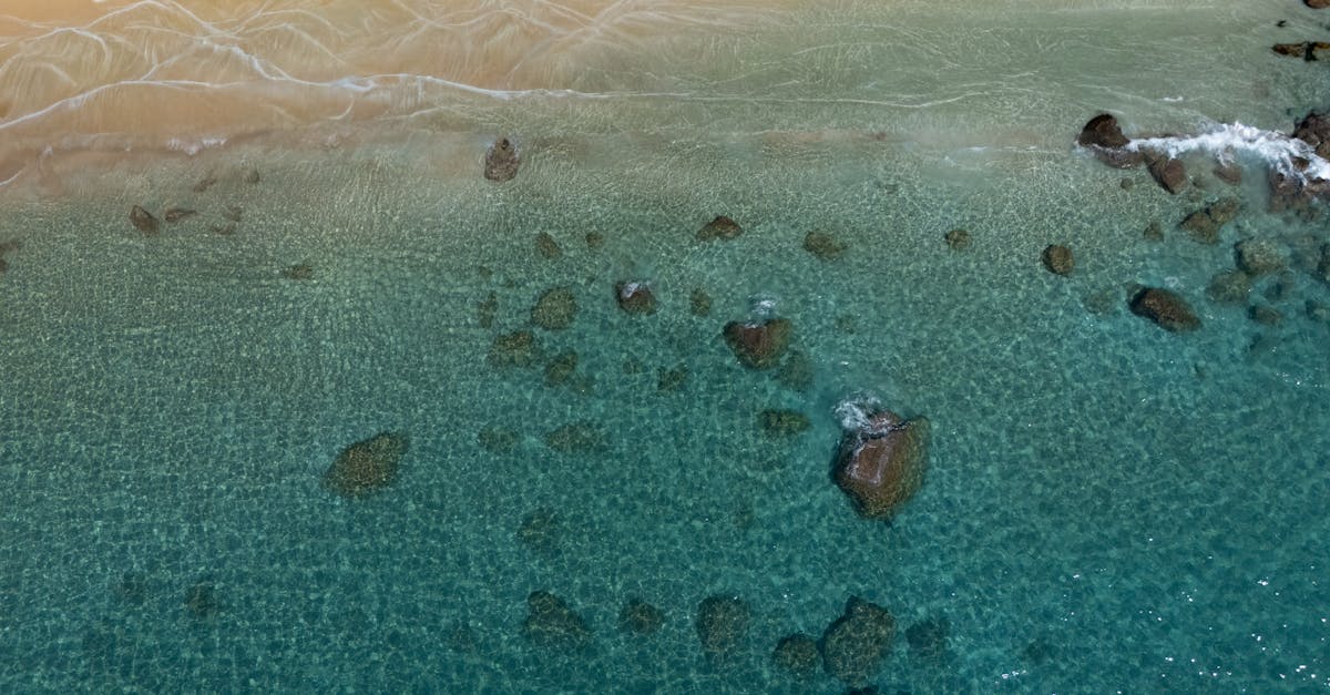 découvrez tout sur le remplacement de star academy en 2025 : nouveautés, candidats et dates clés de la nouvelle saison.